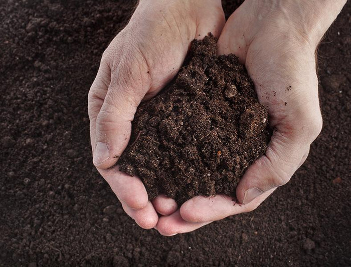 TOPSOIL DELIVERY