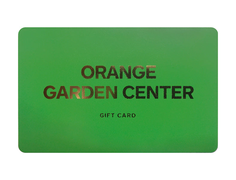 INSTORE GIFT CARDS