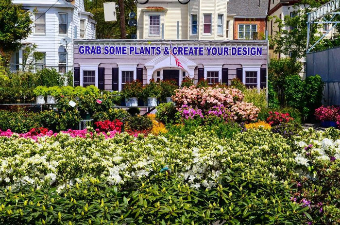 FREE PLANTING & LANDSCAPE DESIGN