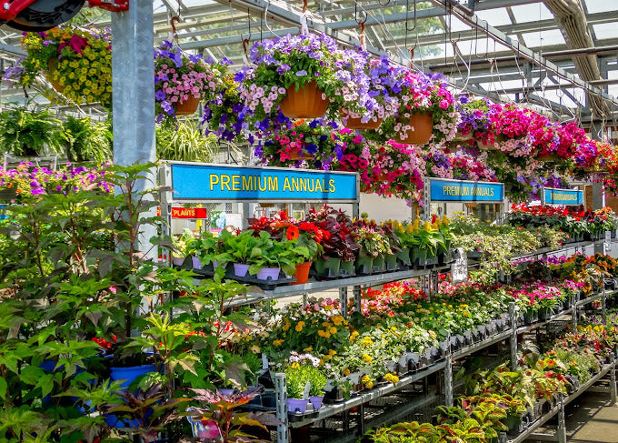 FLOWERS, VEGETABLES & INDOOR PLANTS