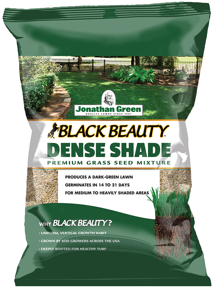 JONATHAN GREEN DENSE SHADE SEED