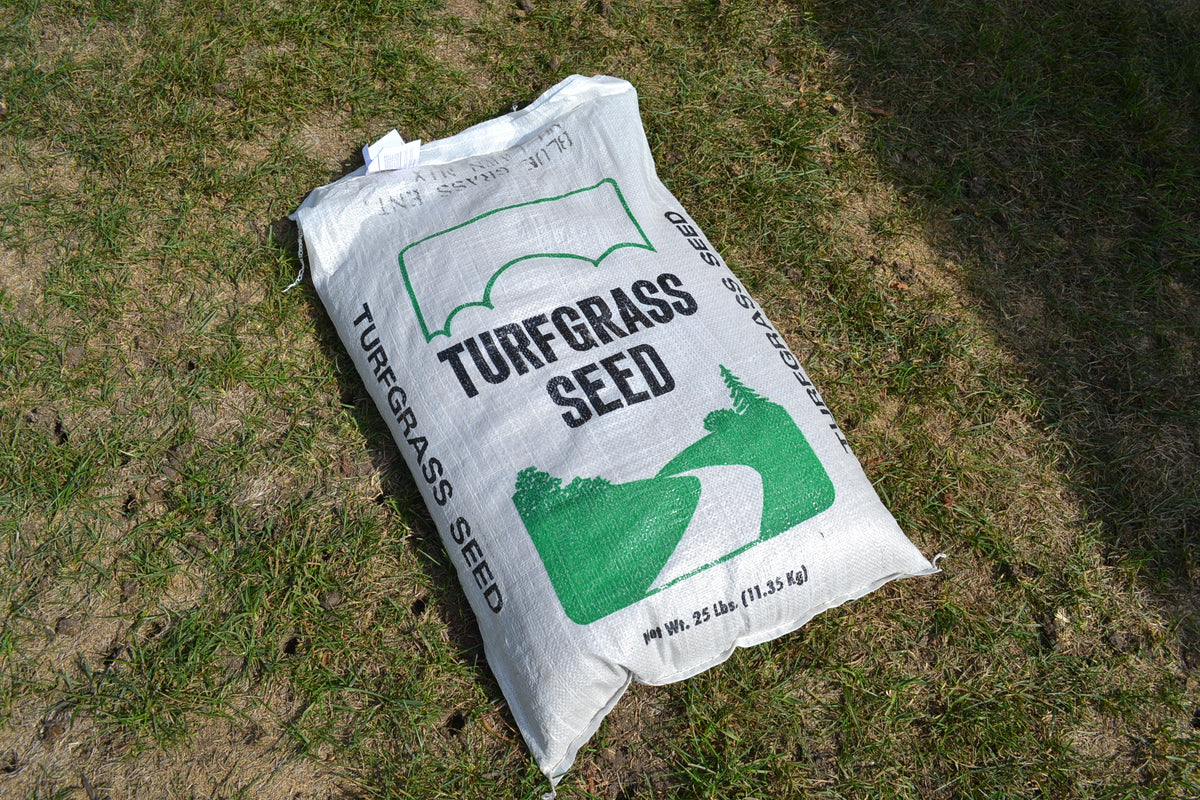 lowes dense shade grass seed Premium Landscape Sun/ Shade Mix Grass Seed 10LB. – Orange Garden Center